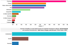 Injury Mortality: United States, 1999 through 2015